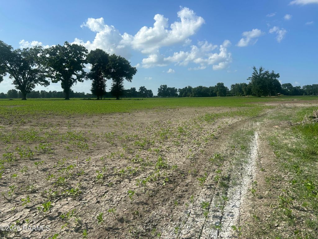 Oscar Rivette Road, Arnaudville, LA 70512