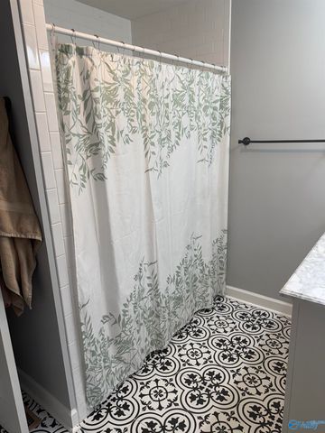 1646 County Road 439, Hillsboro, AL 35643