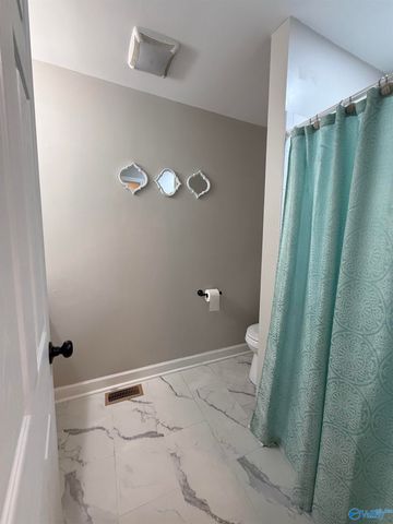 1646 County Road 439, Hillsboro, AL 35643