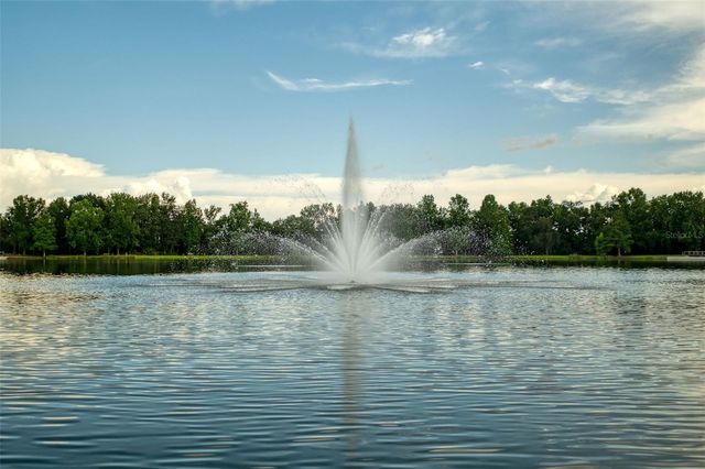 105 GRACE AVENUE, Celebration, FL 34747