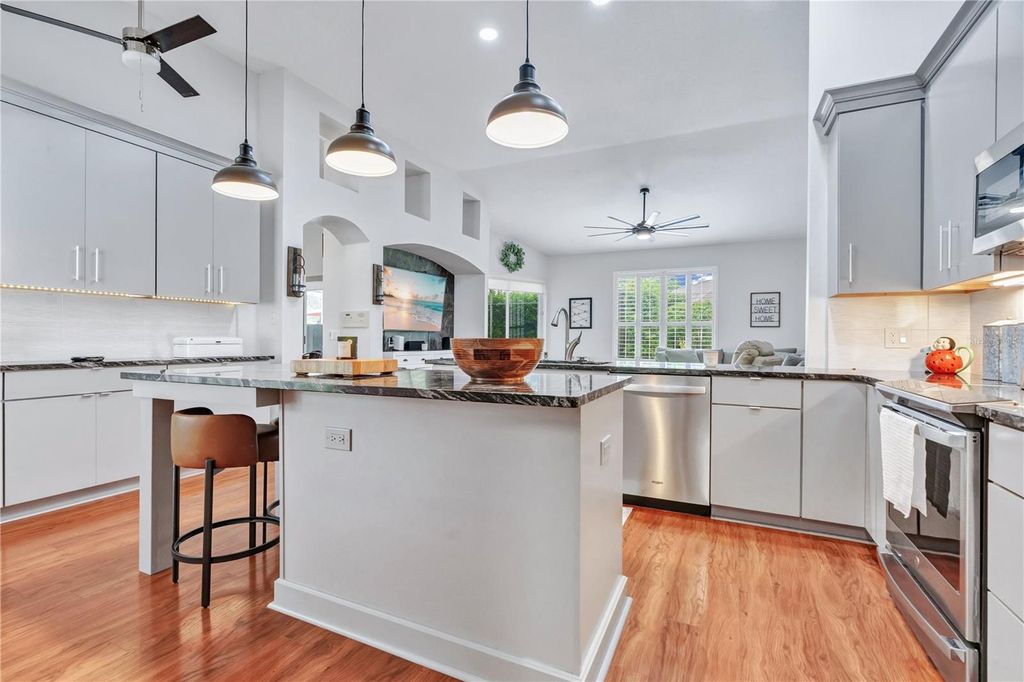 Image 18 of property listing at 8063 LAUREL RIDGE DRIVE, Mount Dora, FL 32757