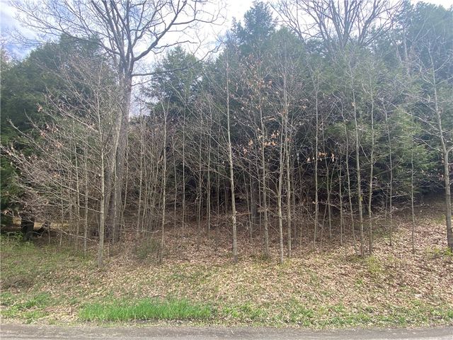 Lot B Piermott Lane, Hartwick, NY 13348