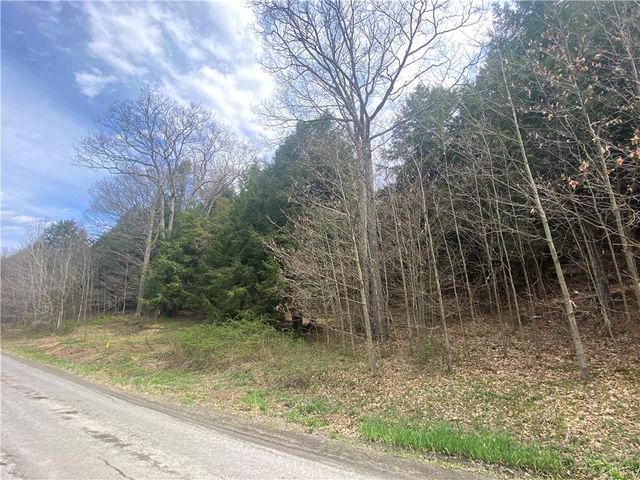 Lot B Piermott Lane, Hartwick, NY 13348