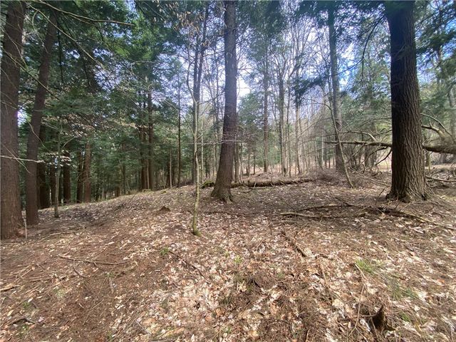 Lot B Piermott Lane, Hartwick, NY 13348