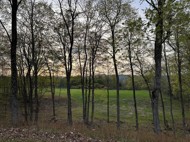 341 Turkey Farm Road, Benson, VT 05731