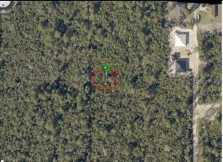 HIGHWOOD (PAPER) AVENUE, Orange City, FL 32763