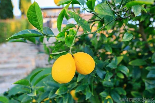 29059 Meadow Glen Way W, Escondido, CA 92026