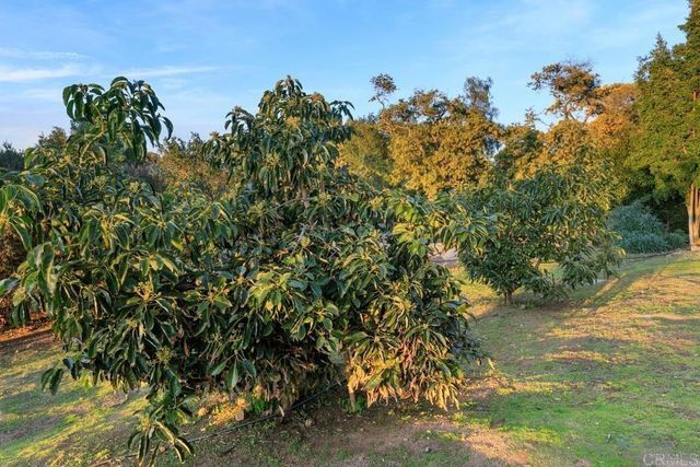 29059 Meadow Glen Way W, Escondido, CA 92026