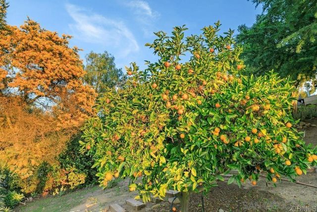 29059 Meadow Glen Way W, Escondido, CA 92026