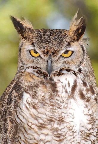 87 N Frontage Road, Edgewood, NM 87015