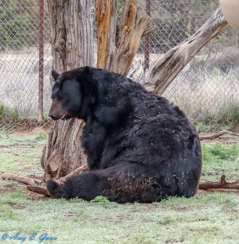 87 N Frontage Road, Edgewood, NM 87015