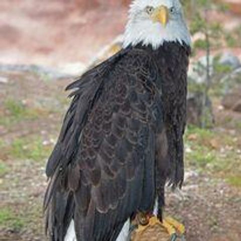 87 N Frontage Road, Edgewood, NM 87015