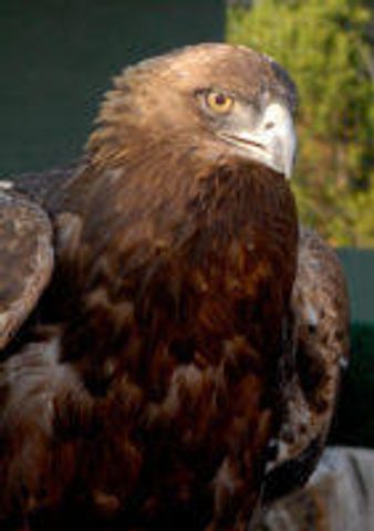 87 N Frontage Road, Edgewood, NM 87015