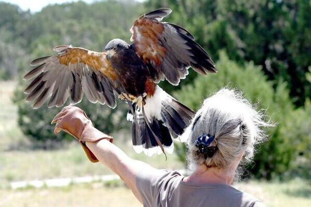 87 N Frontage Road, Edgewood, NM 87015