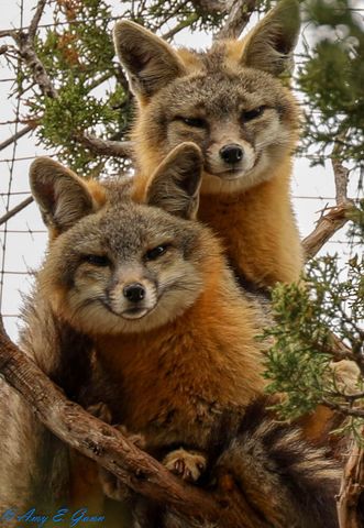 87 N Frontage Road, Edgewood, NM 87015