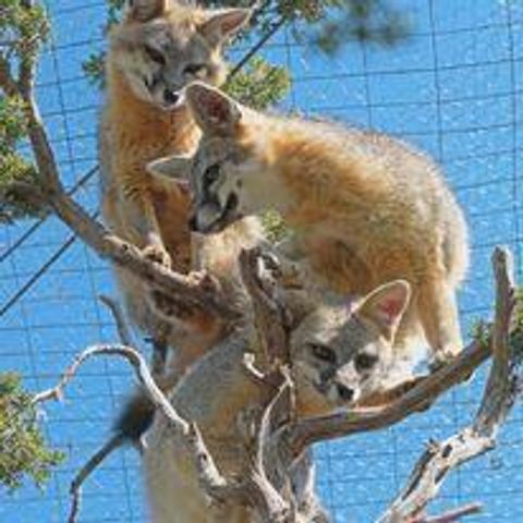 87 N Frontage Road, Edgewood, NM 87015