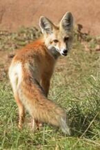 87 N Frontage Road, Edgewood, NM 87015