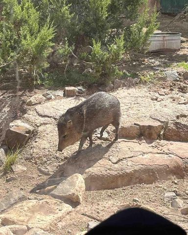 87 N Frontage Road, Edgewood, NM 87015