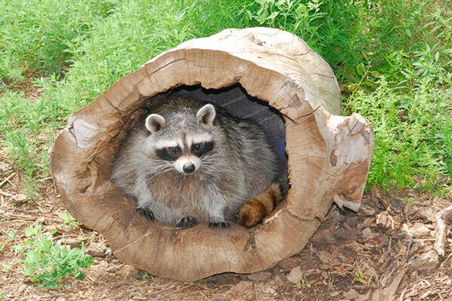 87 N Frontage Road, Edgewood, NM 87015