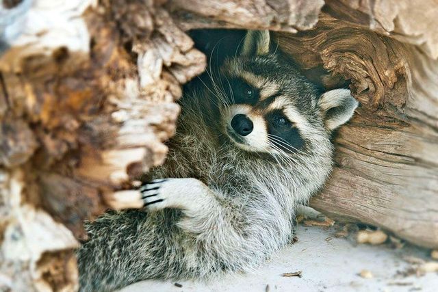 87 N Frontage Road, Edgewood, NM 87015