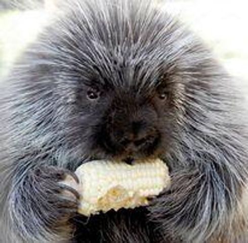 87 N Frontage Road, Edgewood, NM 87015