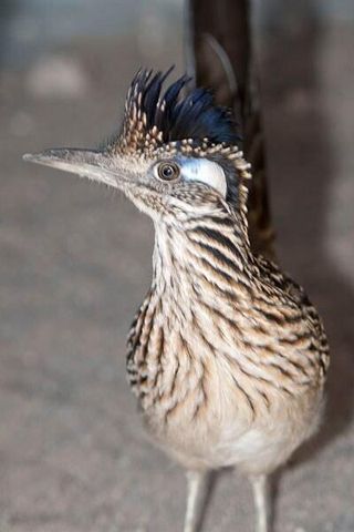 87 N Frontage Road, Edgewood, NM 87015