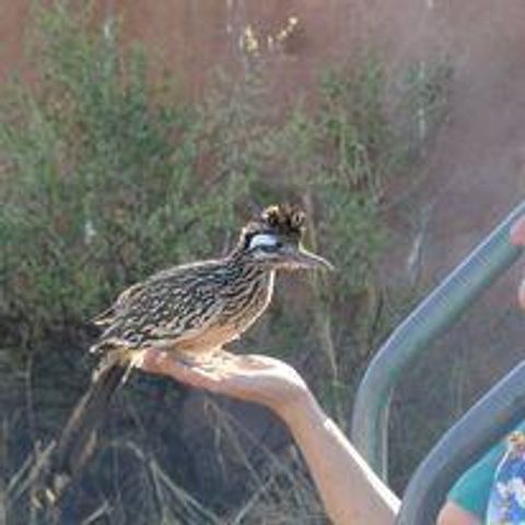 87 N Frontage Road, Edgewood, NM 87015