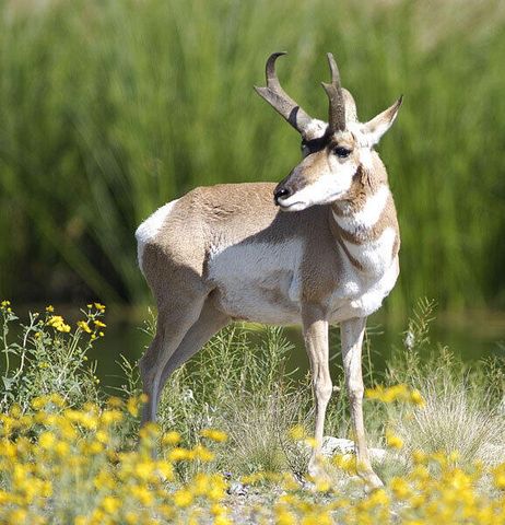 87 N Frontage Road, Edgewood, NM 87015