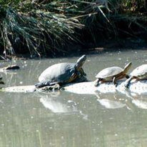 87 N Frontage Road, Edgewood, NM 87015