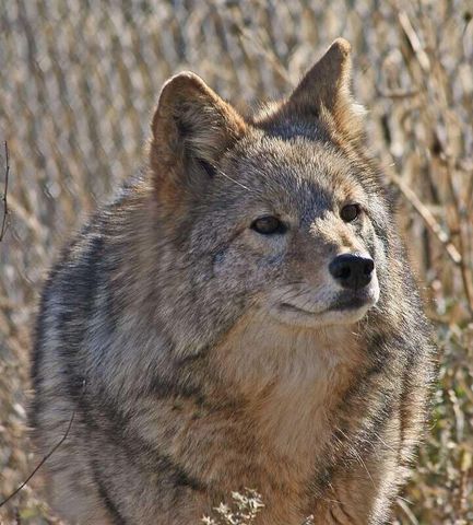 87 N Frontage Road, Edgewood, NM 87015