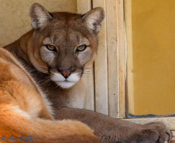 87 N Frontage Road, Edgewood, NM 87015