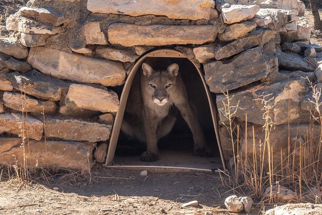 87 N Frontage Road, Edgewood, NM 87015