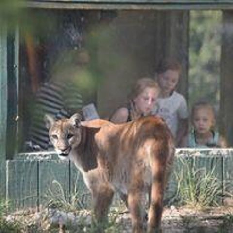 87 N Frontage Road, Edgewood, NM 87015