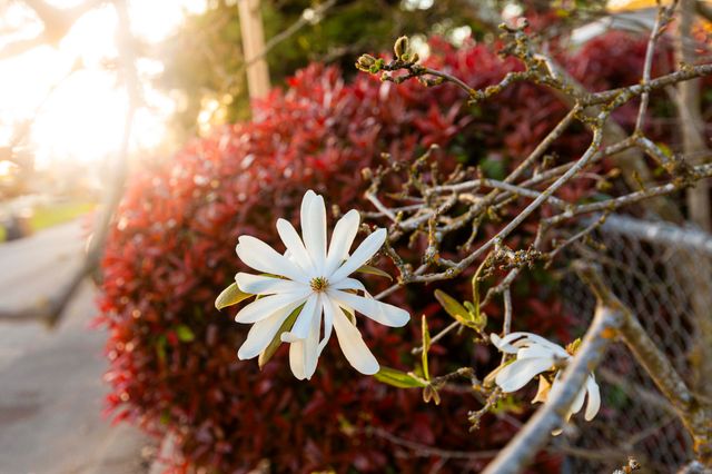 22 SW Elm Street, Grants Pass, OR 97526