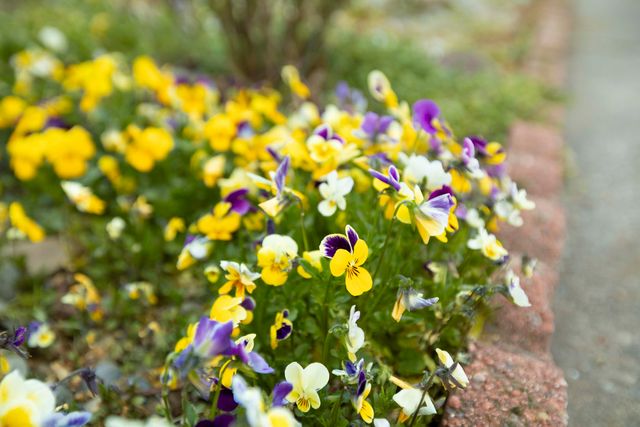 22 SW Elm Street, Grants Pass, OR 97526