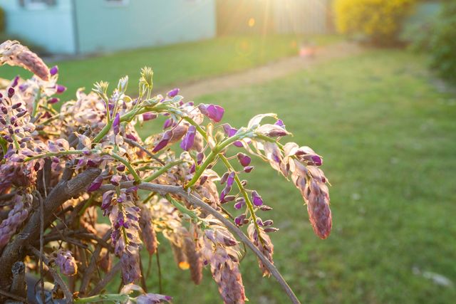 22 SW Elm Street, Grants Pass, OR 97526