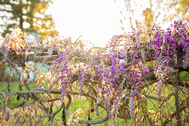 22 SW Elm Street, Grants Pass, OR 97526