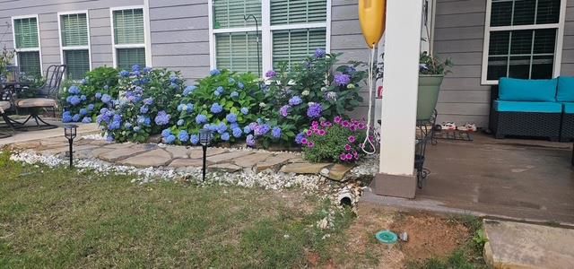 208 Abberly Lane, Ellerslie, GA 31807