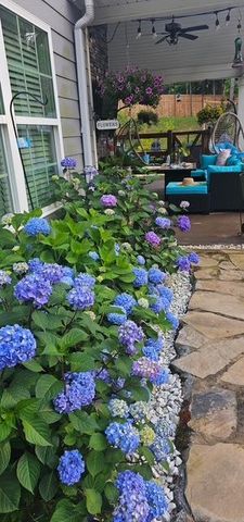 208 Abberly Lane, Ellerslie, GA 31807