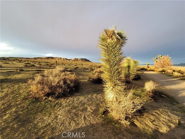 195 Old El Mirage Road, Adelanto, CA 92301