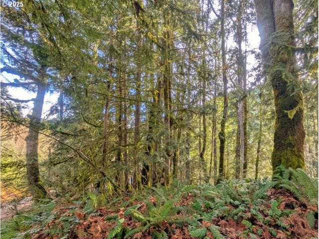 971354 E Rolling Green Ct, Welches, OR 97067