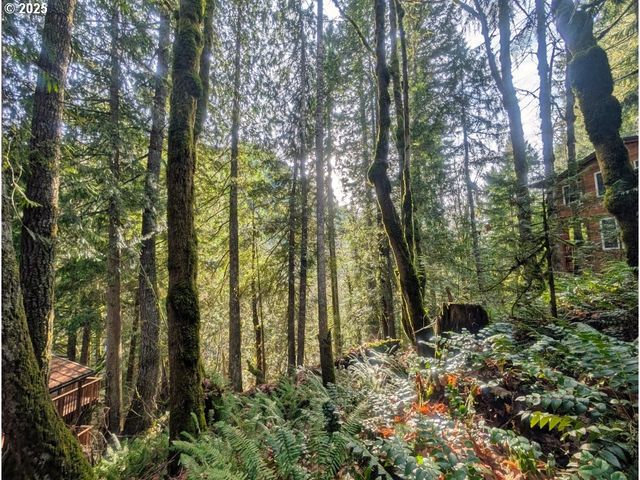 971354 E Rolling Green Ct, Welches, OR 97067