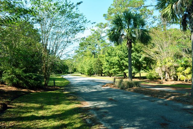 61 Osprey Road, Edisto Island, SC 29438