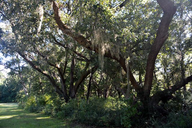 61 Osprey Road, Edisto Island, SC 29438