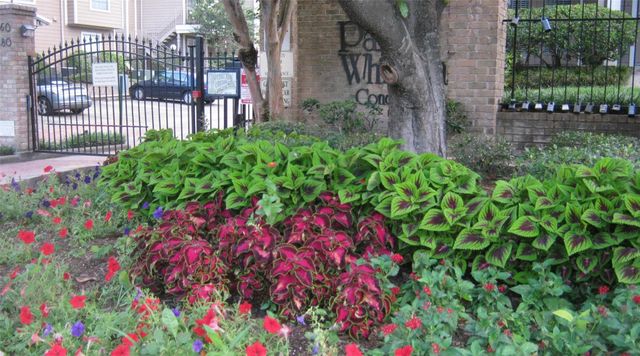 1860 White Oak Drive 207, Houston, TX 77009