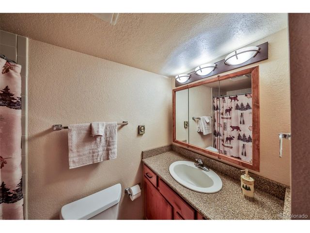 56 GCR 834 2F, Fraser, CO 80442