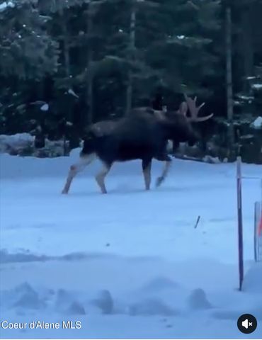 8558 W Liberty DR, Spirit Lake, ID 83869