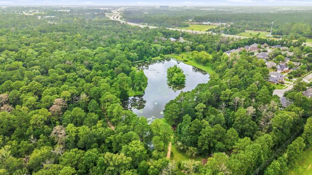 27730 Geneva Hills Lane, Spring, TX 77386