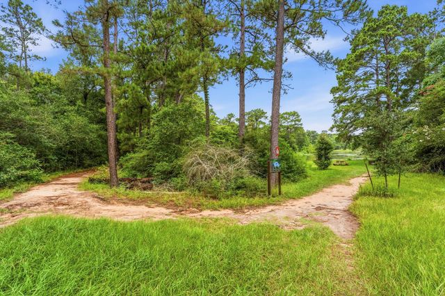 27730 Geneva Hills Lane, Spring, TX 77386