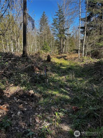 99 Lot 3 Robinson Road, Port Angeles, WA 98362